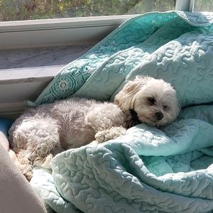 Meet your Posher, Lorr